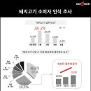 고기요 이미지