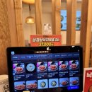 제로백PC 삼전역점 | 한나낙지마당 잠실동 직영점: 석촌호수 근처 매콤한 양념의 삼겹살 낙지볶음 후기