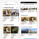 필립무역 | [레퍼런스 분석] - 마이리얼트립