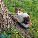 초롱이 밥상 이미지