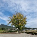 김동규농장 | 10월의어느멋진날에 1004클럽나눔공동체(강화도농장 고구마수확)