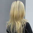 아르브헤어 arvv 이미지