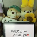 아이패드 유저 필수 아이펜슬 프로 드로잉 사용후기