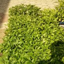 대경농자재 이미지