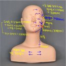 영산대학교 | 영산대학교 미용건강관리학과 후기