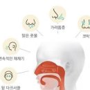 재채기 원인 맑은 콧물 노란 콧물 코막힘 증상 이미지