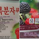 고창복분자마을진농식품 네이버블로그