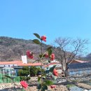 인천광역시 옹진군 대이작도, 해변 트레킹과 송이산(188.7m) 산행 (장골마을ㆍ대이작로ㆍ대이작선착장) 이미지