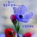 행복의료기 이미지