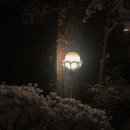 북면191 | 12월 (2025)