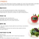 아이발란스 네이버블로그