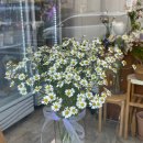 1212 | [세션기록] 25년 1212 포털 맞이 '생존 트라우마 치유' 세션 후기