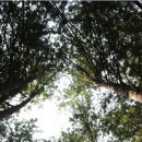 상관면 행정복지센터 이미지