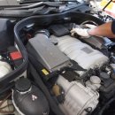 골드모터스 이미지