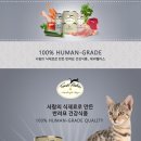 펠리스온