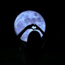 정남진천문과학관 | [장흥 가볼만한 곳] 별자리를 관찰할 수 있는 장흥 정남진 천문과학관 방문 후기