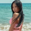 제시