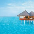 나래여행사 이미지