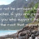 Bible Reading - Romans 11:13~24 이미지