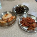 [제주] 한경맛집 / 한경면에서 현지인 칼국수 맛집을 찾는다면[웃뜨르항아리]