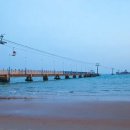 청도천로1 Daum카페