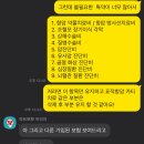 소미실비