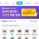 대통령,대박마트 이미지