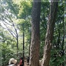 내곡동420 이미지