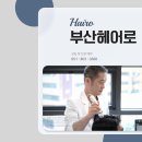 내포메디컬의원 | 부산모발이식병원 반드시 알아야 할 회복 설계의 핵심 조건