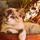 제일메디컬센터 이미지