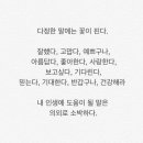 전설의육칼 이미지