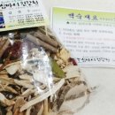 신비한약초건강원
