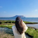 맑은운동화빨래방(성산점) | 제주도 동쪽 여행 코스 10곳 성산 가볼만한 곳 가족 커플 여행지 추천