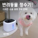 도보보 강아지정수기 후기, 이브가 물을 마시기 시작했어요! (인테리어까지 챙긴 )