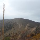 평원목장 이미지