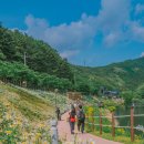 월광공원 이미지