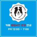 더 퍼피즈 블루오션 쿡 이미지