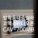 태종비디오