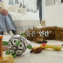 전진도장