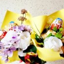 도련초등학교 이미지