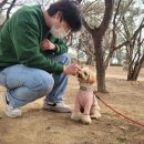 나인페츠 이미지