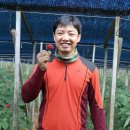 백산개발 이미지