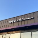 카페리브어스 네이버블로그