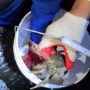 인피니티오션풀빌라 이미지