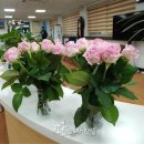 관산읍행정복지센터 이미지