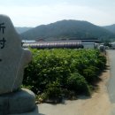 마복분맥2 고흥의 불당산·마복산·오봉산 산행기 이미지