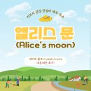 6만원 갓성비 지브리st 감성 숙소 추천! 장마기간 오히려 좋은 에어비앤비 &#39;앨리스문(Alice&#39;s moon)&#39; 후기