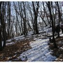어비산 정상(829m) 이미지
