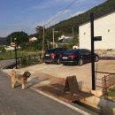 고창민박 톡톡 이미지