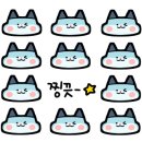 수정집수리 이미지